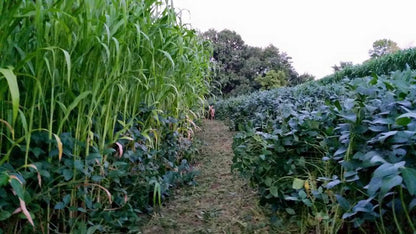 HEAVY DUTY FOOD PLOT SCREEN