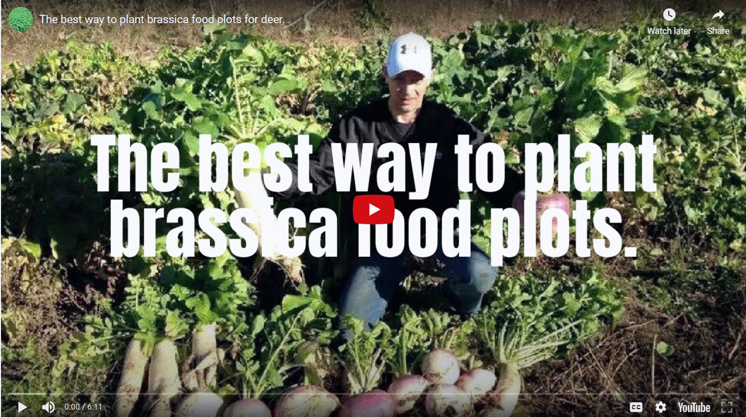 Load video: How to plant brassica food plots