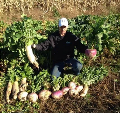 Sweet Feast Brassica Blend