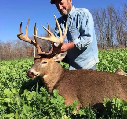 FALL FORAGE BLEND